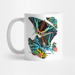 Butterflies Watercolor #4 Mug